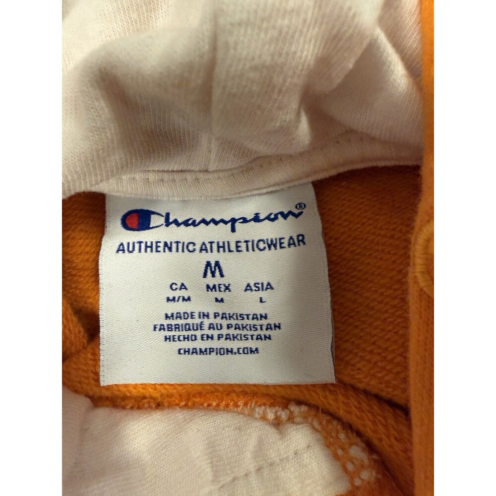 FAMU Florida A&M Champion Embroidered Gray Orange Hoodie Women’s Sz M Rattlers ￼ - Picture 3 of 7